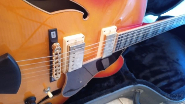 Ibanez AF-125 hollow bod