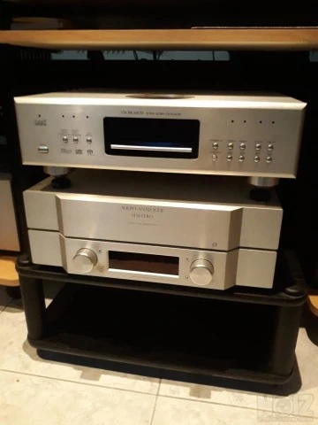Cary 306 CD sacd DAC