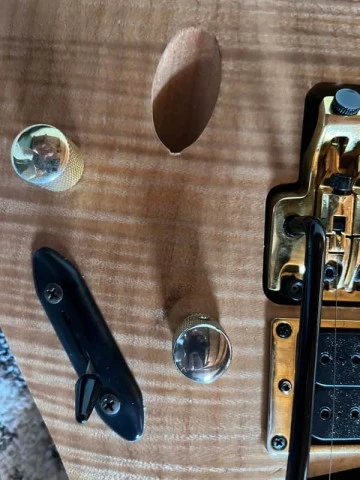 Ibanez Egen 8 Herman Li