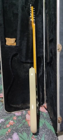 Fender bullet 1980 in USA