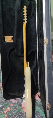 Fender bullet 1980 in USA