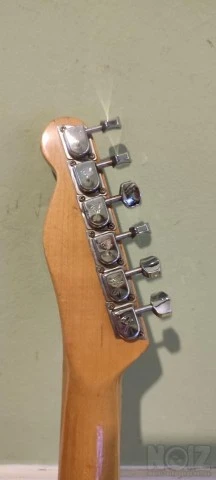 Fender bullet 1983 in USA