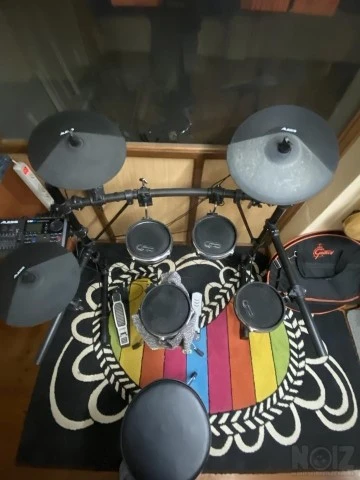 Alesis dm 10