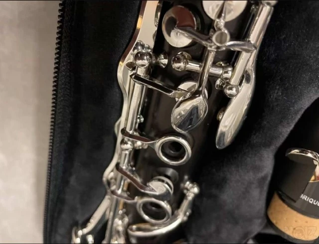 Clarinet Selmer Prologue 17/6 NEW