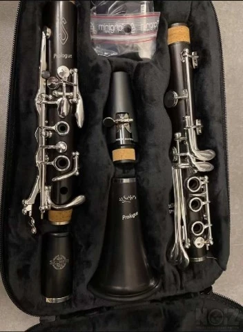 Clarinet Selmer Prologue 17/6 NEW