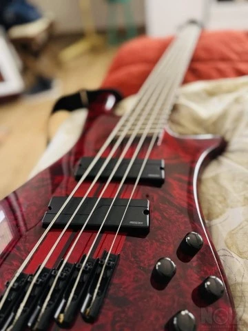 Spector Ns Dimension ms 5