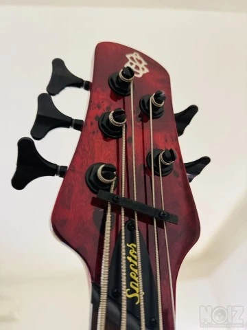 Spector Ns Dimension ms 5
