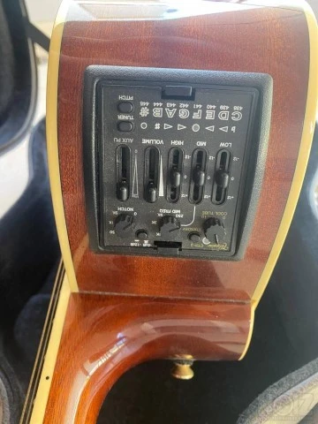 Takamine P4-DC