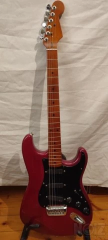 Κιθάρα stratocaster με θήκη
