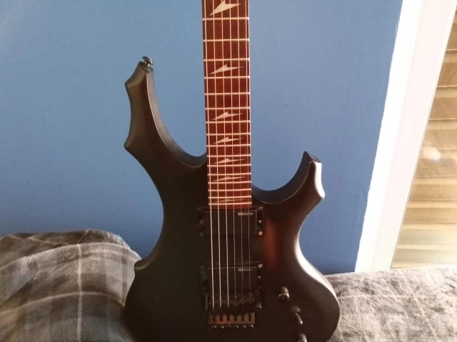 ESP LTD