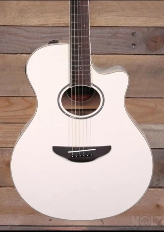 Yamaha APX-600