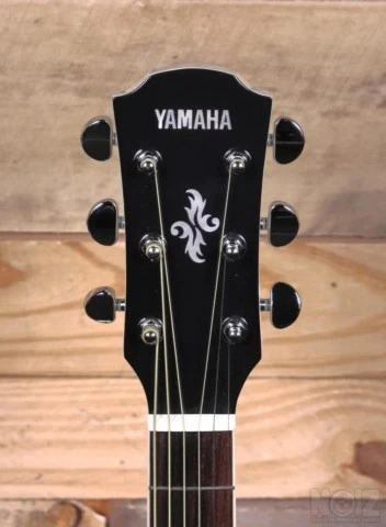 Yamaha APX-600