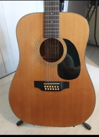 12 χορδή IBANEZ VINTAGE 1970-1980