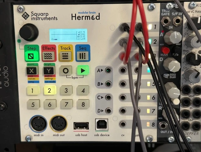 Squarp Instruments Hermod Sequencer - Interface (Λευκό)