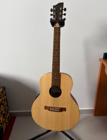 Woodpecker Mini Jumbo 36