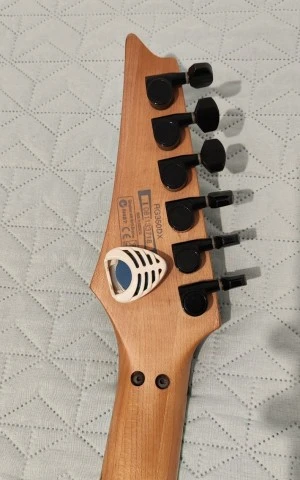 Ibanez RG350DX – Seymour Duncan Pickups – Σκληρή θήκη