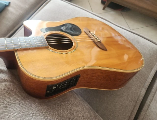 Alvarez PD-80SC
