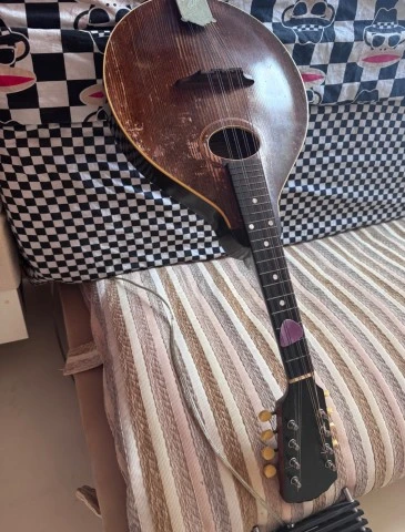 Vintage Gibson Mandolin