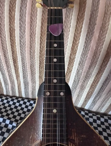 Vintage Gibson Mandolin