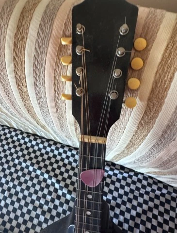 Vintage Gibson Mandolin