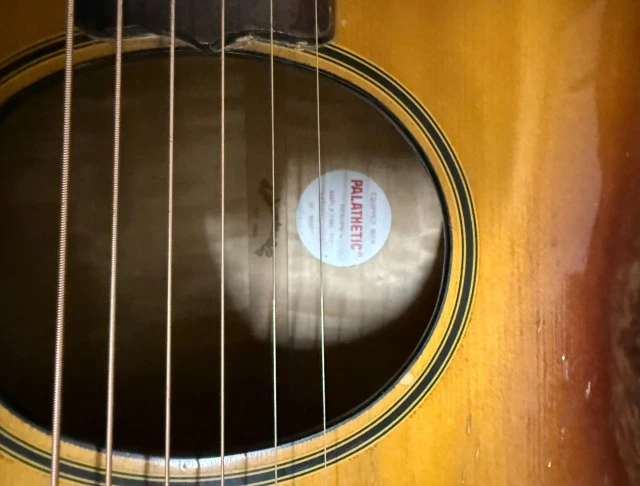 Takamine Japan 1979