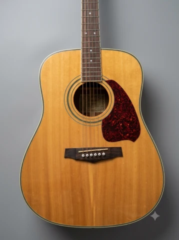 Ibanez acoustic PF60S-NT-27-01