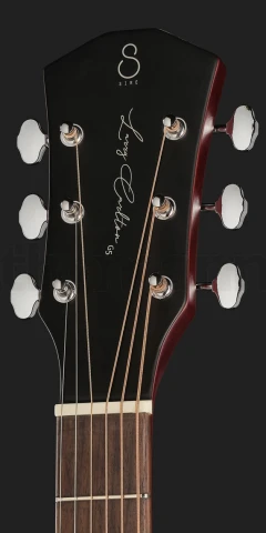 Larry Carlton G5A 