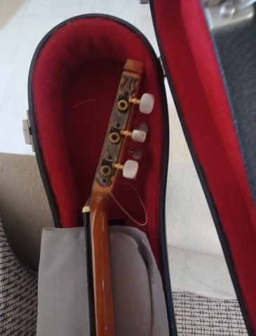 Raimundo Model 160 Flamenco