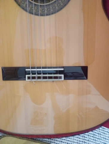Raimundo Model 160 Flamenco