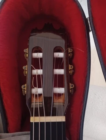 Raimundo Model 160 Flamenco