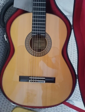 Raimundo Model 160 Flamenco