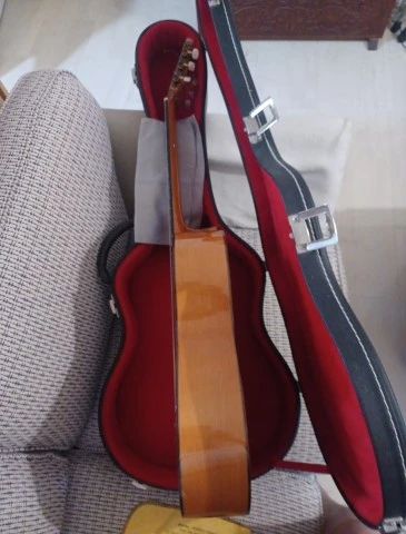 Raimundo Model 160 Flamenco