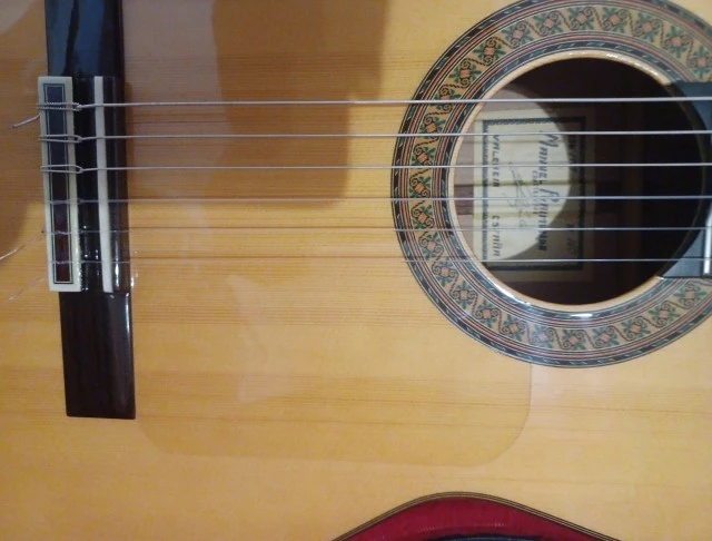 Raimundo Model 160 Flamenco