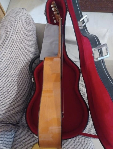 Raimundo Model 160 Flamenco