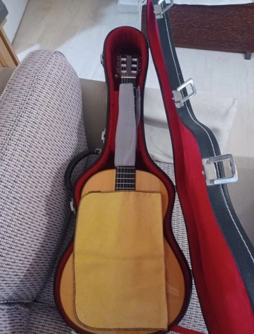 Raimundo Model 160 Flamenco