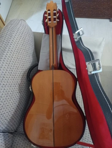 Raimundo Model 160 Flamenco