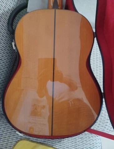 Raimundo Model 160 Flamenco