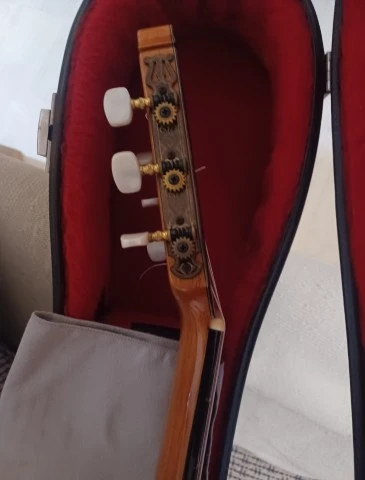 Raimundo Model 160 Flamenco