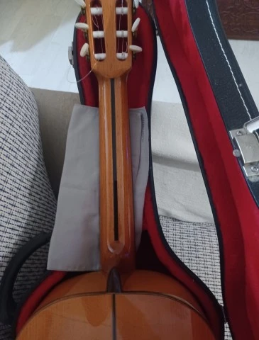 Raimundo Model 160 Flamenco