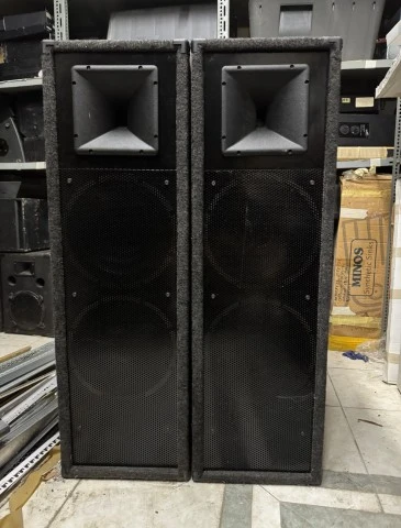Ζεύγος Επαγγελματικά Ηχεία PA (Διπλά Woofer +
