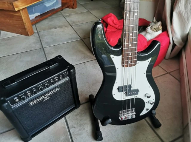 Μπάσο και ενισχυτής Behringer