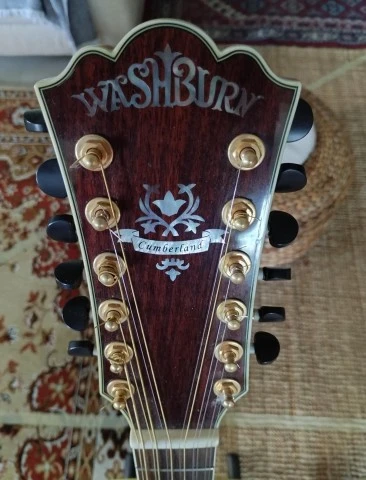 Washburn J28SDL 12-String Cumberland Maple Jumbo Acoust