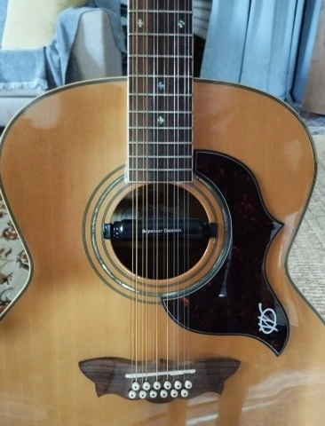 Washburn J28SDL 12-String Cumberland Maple Jumbo Acoust