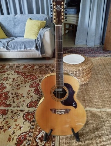 Washburn J28SDL 12-String Cumberland Maple Jumbo Acoust