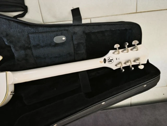 Epiphone Jerry Cantrell  Custom Prophecy 