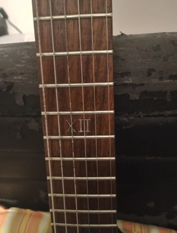 Epiphone gothic flying V tremolo &amp;θήκη (2002-Korea)