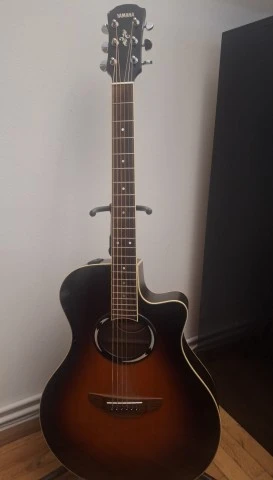 Yamaha APX500II 2011