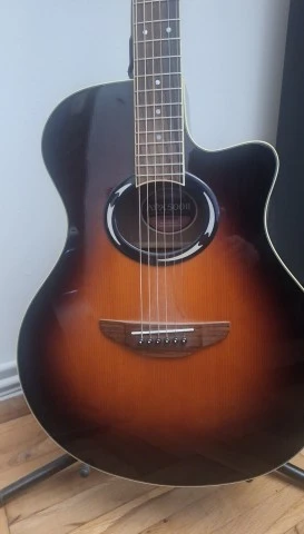 Yamaha APX500II 2011