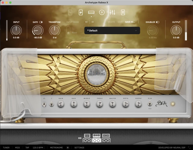 Neural DSP Plugins - (Petrucci, Rabea and more)