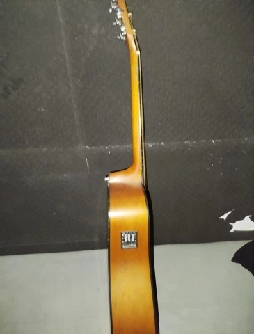 Fender DG-17EM (1996) 